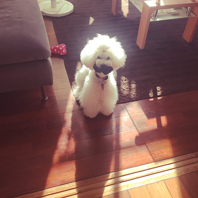 kiraraさんの実例写真