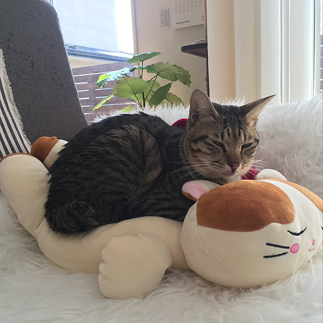 maro.kさんの実例写真