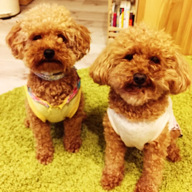 yueさんの実例写真