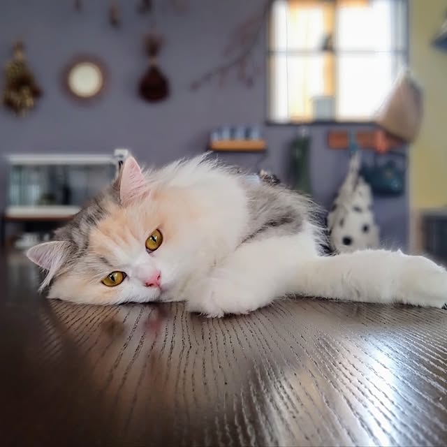 hiromi0302さんの実例写真