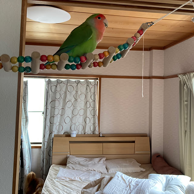 toratanさんの実例写真