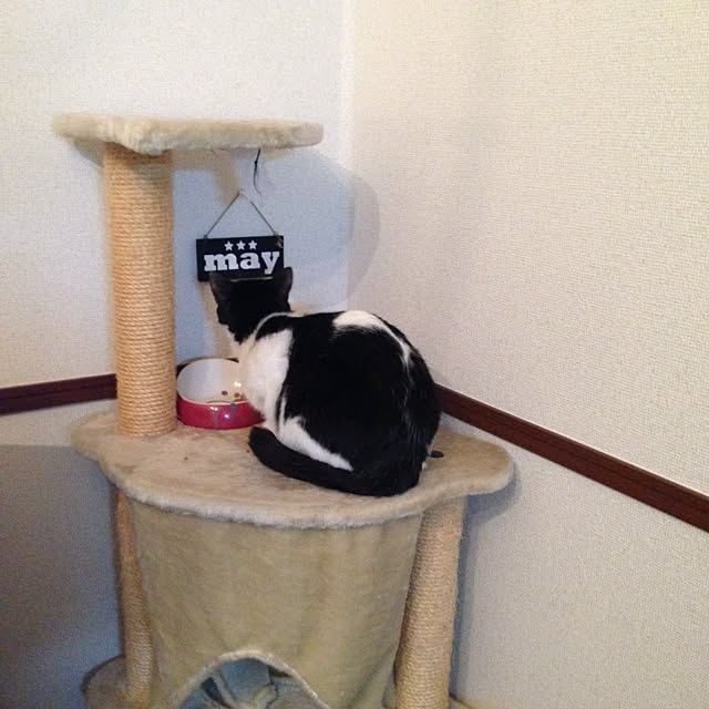 framさんの実例写真