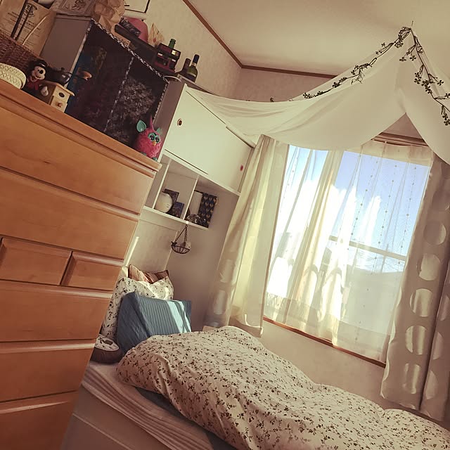 AliceHoldsworthさんの実例写真