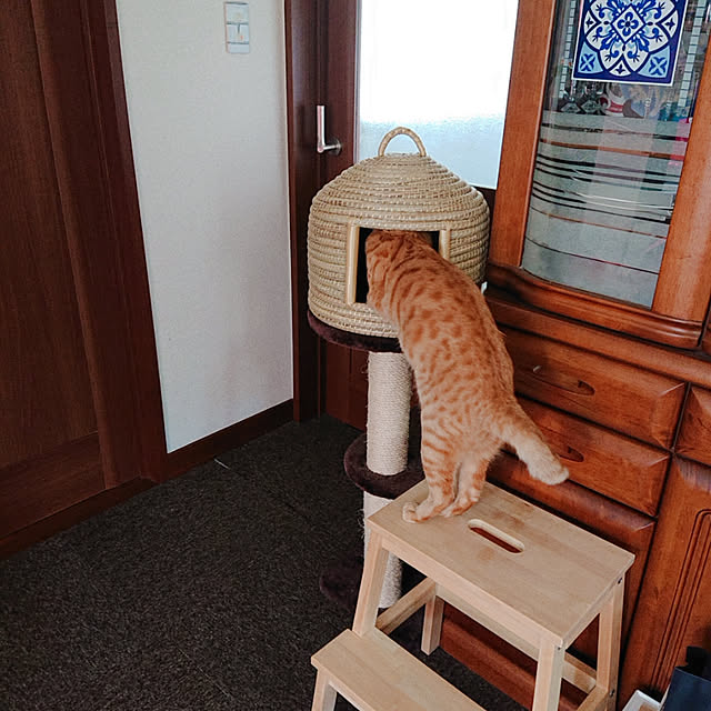 kikiさんの実例写真