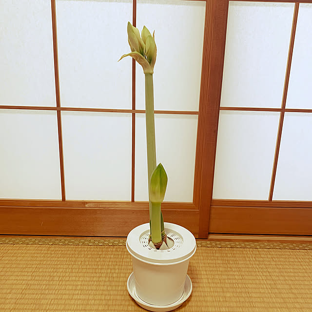 nannoさんの実例写真