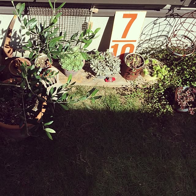 akiさんの実例写真