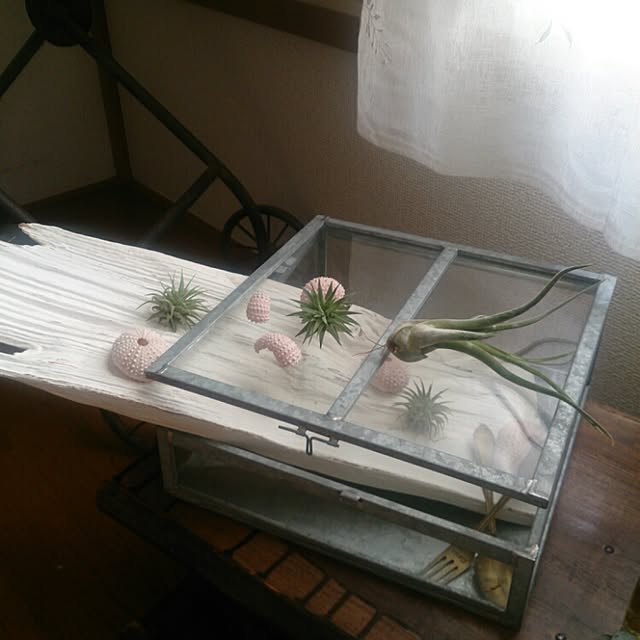 Yukariさんの実例写真