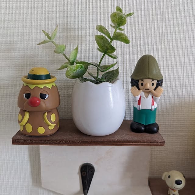 chiz3さんの実例写真