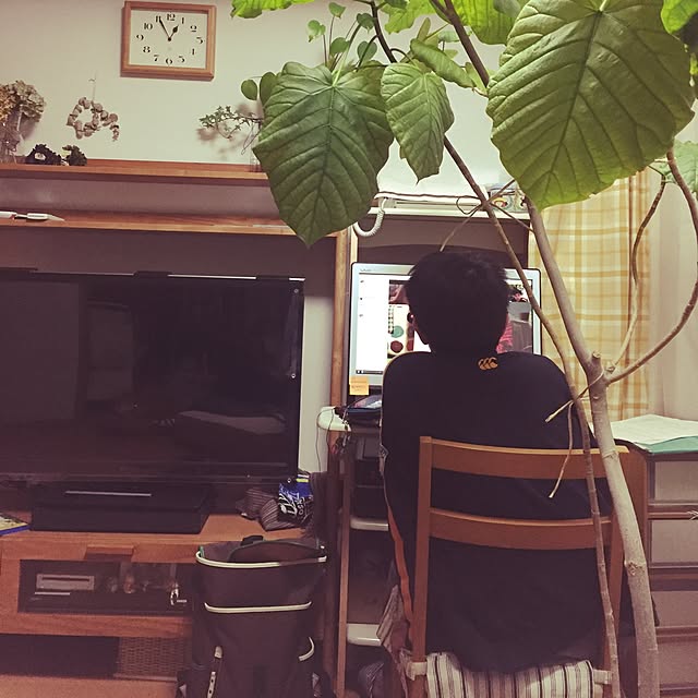 shizu2380さんの実例写真