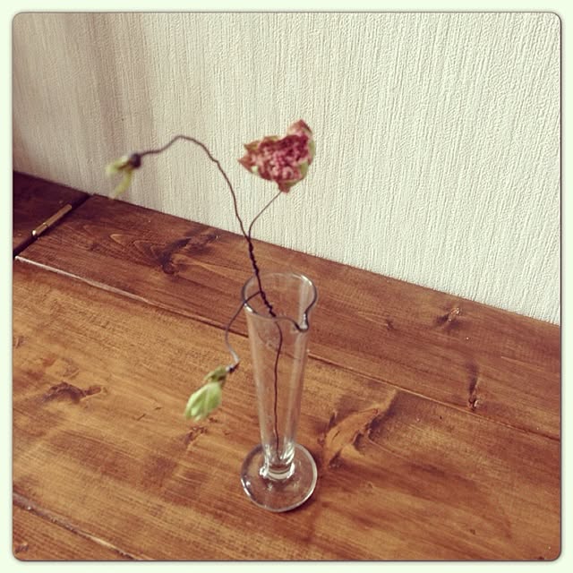 satoさんの実例写真