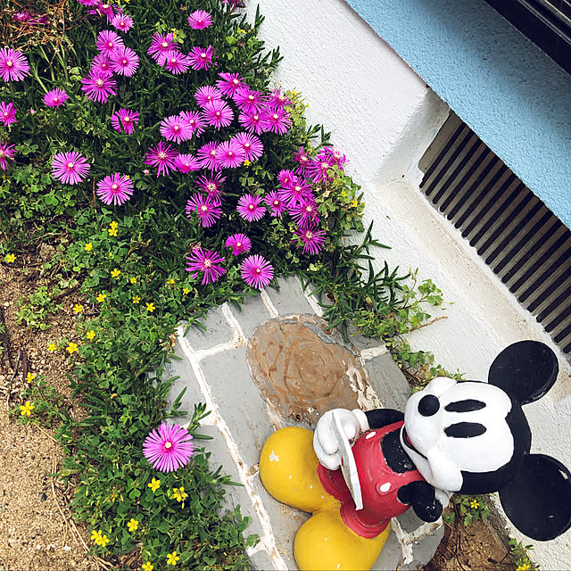 Emikoさんの実例写真