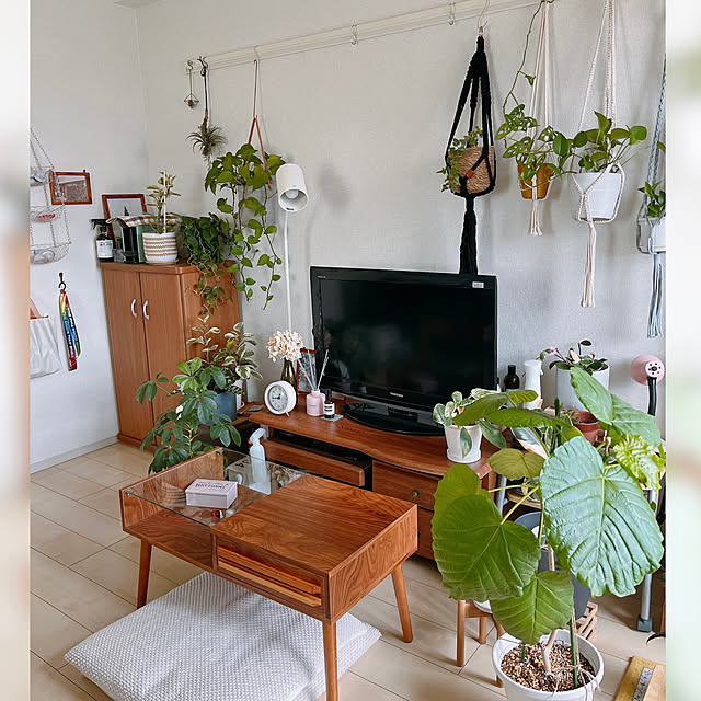 棚/観葉植物のある暮らし/観葉植物/ワンルーム/一人暮らし...などのインテリア実例 - 2024-07-22 09:47:44