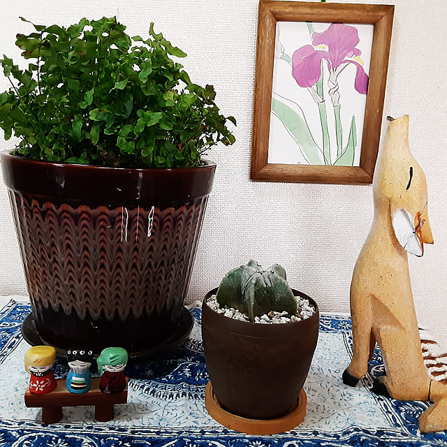 katさんの実例写真