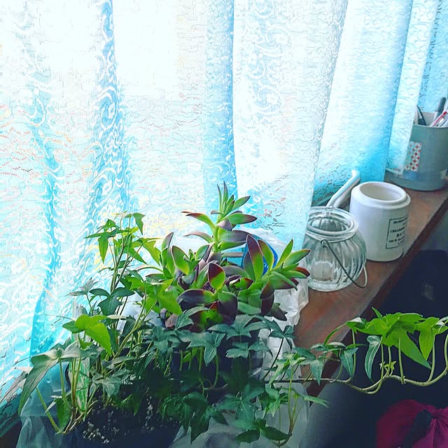 studio-bloomさんの実例写真
