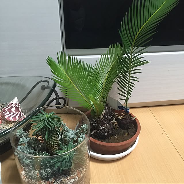 shi-imaさんの実例写真