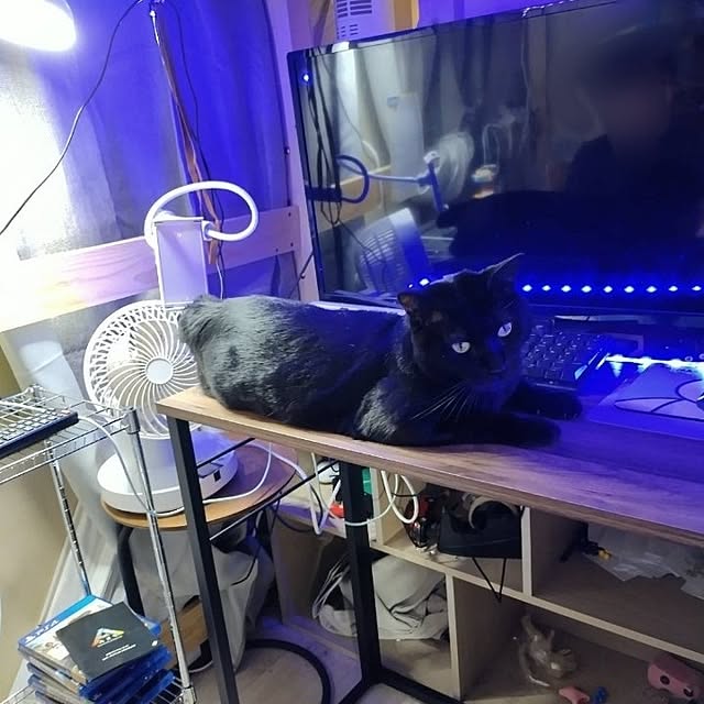 Tさんの実例写真