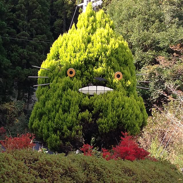 enikkiさんの実例写真