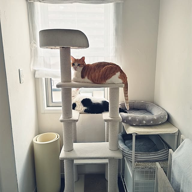arisaさんの実例写真