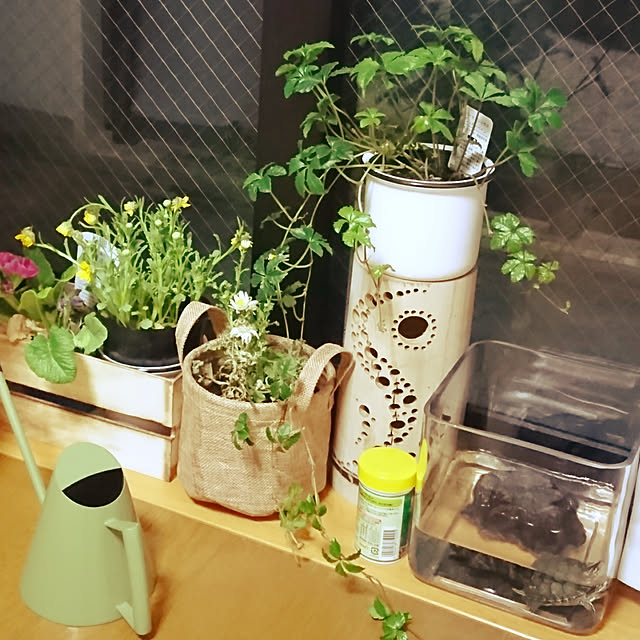 sakanaさんの実例写真