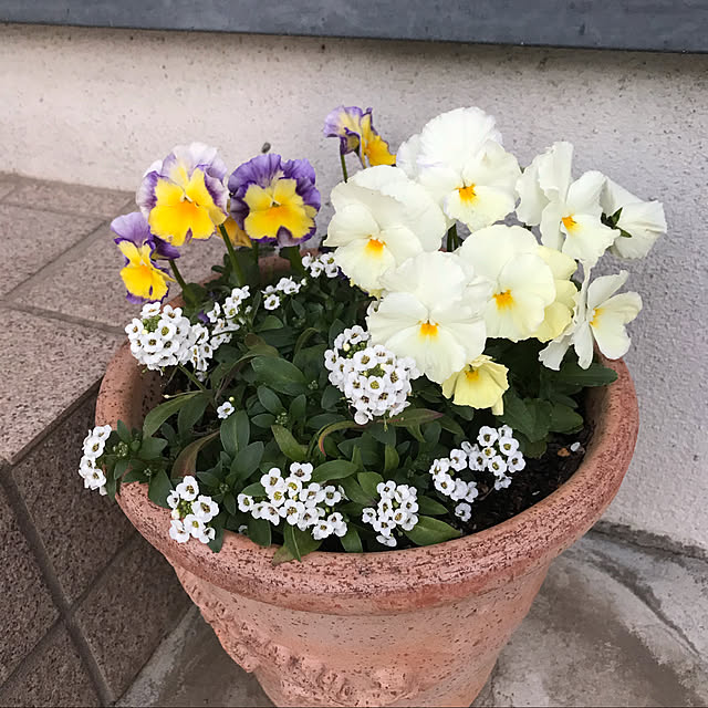 gurichanさんの実例写真