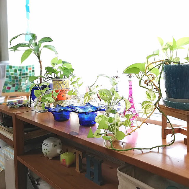 maiさんの実例写真