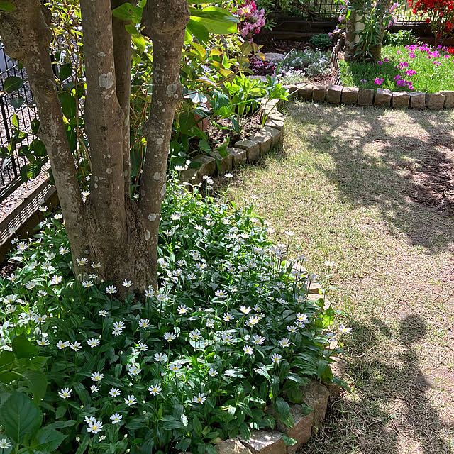 maron915さんの実例写真