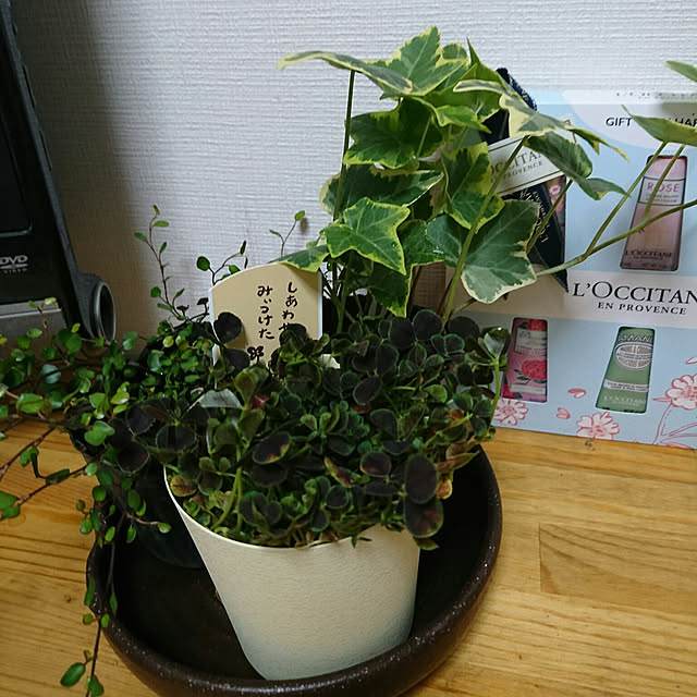 toraさんの実例写真