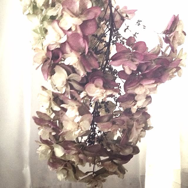 geraさんの実例写真