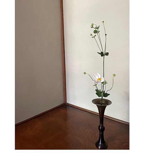 yukichi.wanwaさんの部屋
