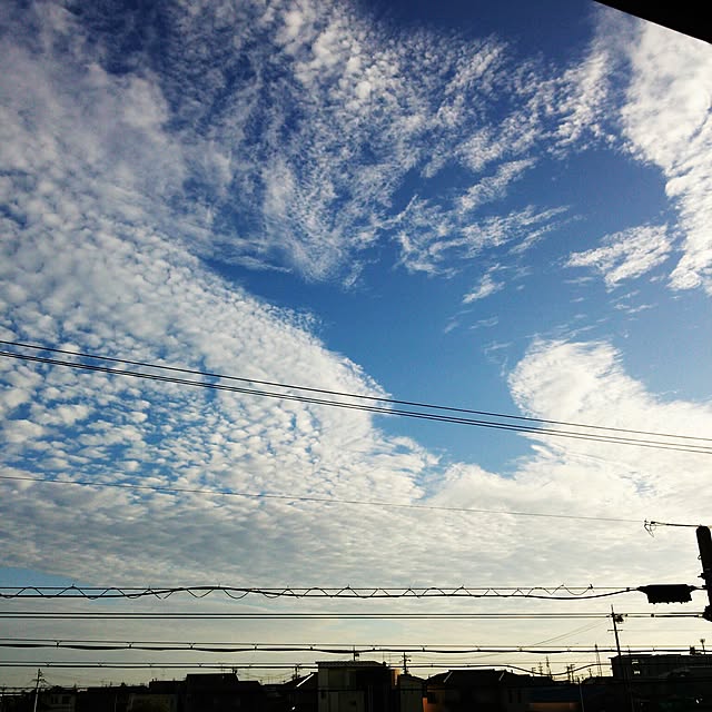 poemwalkさんの実例写真