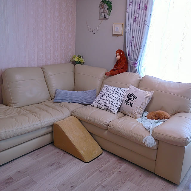 erisavesu4さんの実例写真