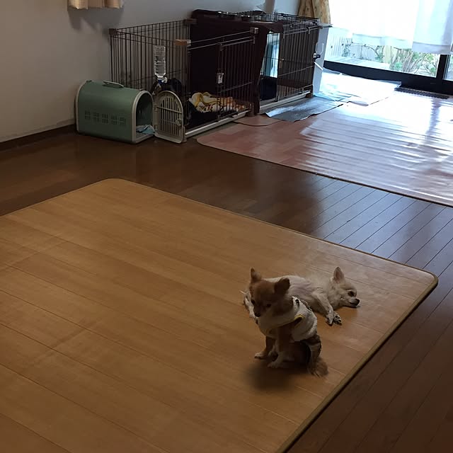 CHIZUさんの実例写真