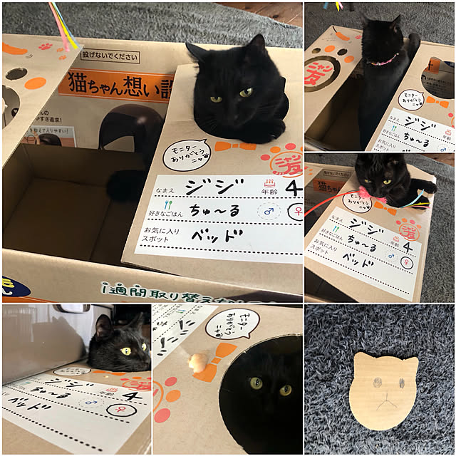 mutsuさんの実例写真