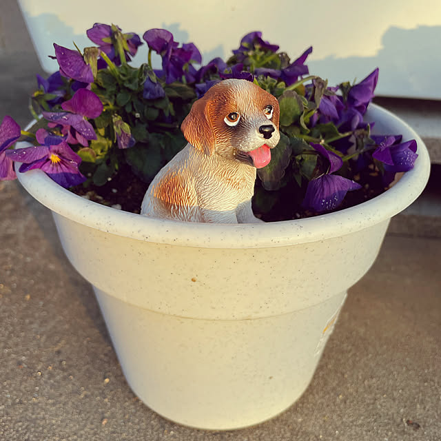 akkeyさんの実例写真