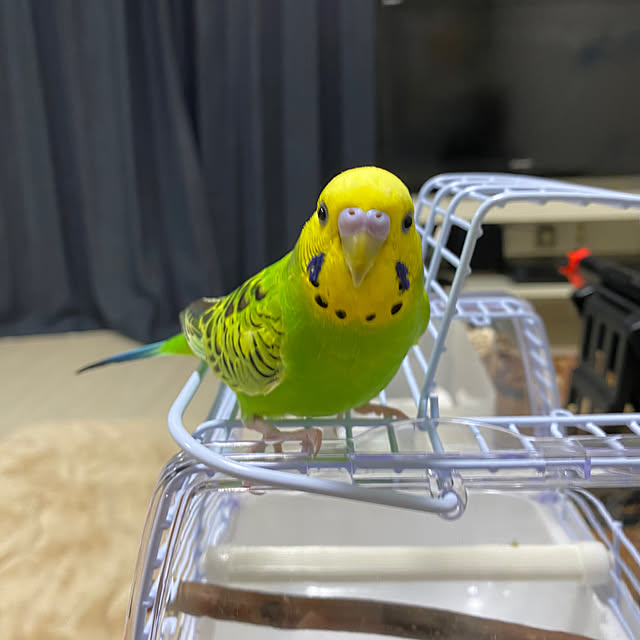 ohanaさんの実例写真