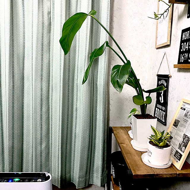 Yoshiさんの実例写真