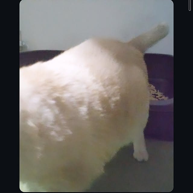 mntcさんの部屋