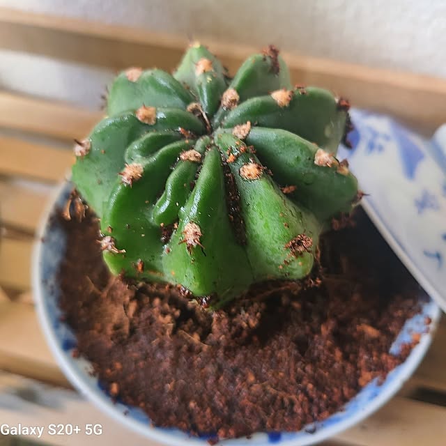 monnさんの部屋