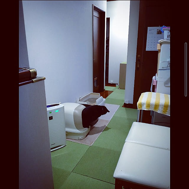 mntcさんの実例写真