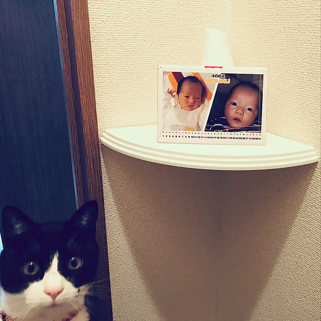 TAMAさんの実例写真