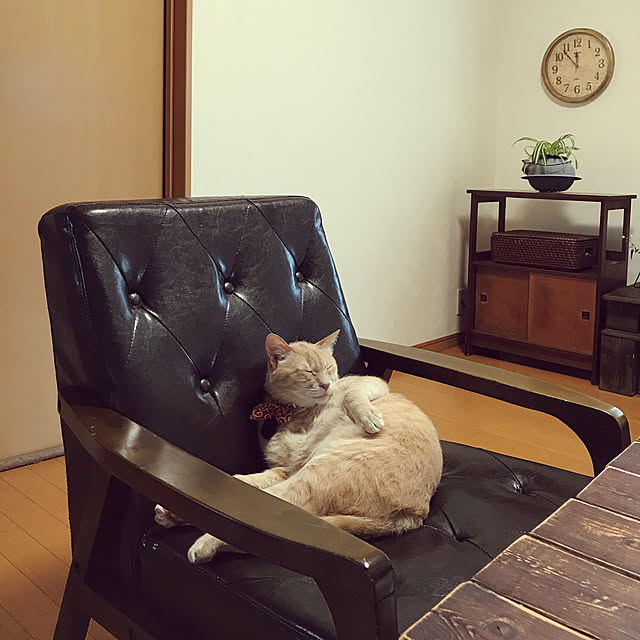 mikan161さんの実例写真
