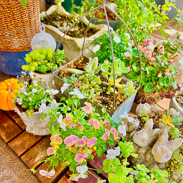 naokoさんの部屋