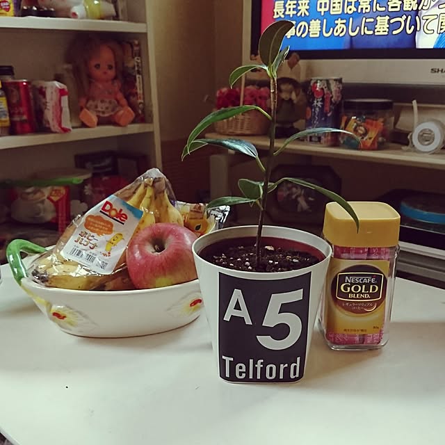 yuukyさんの実例写真