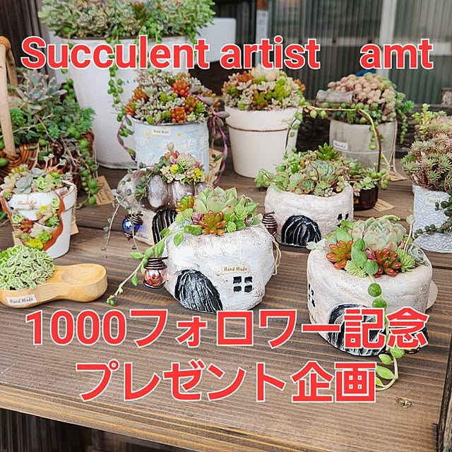 amtさんの実例写真