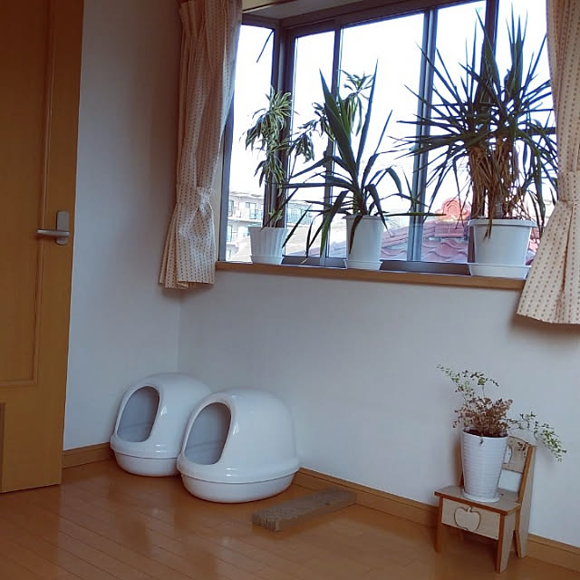 部屋全体のインテリア実例 - 2019-08-04 23:06:40