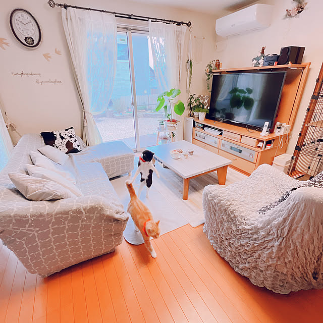 moolさんの部屋