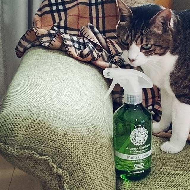 civicglさんの実例写真