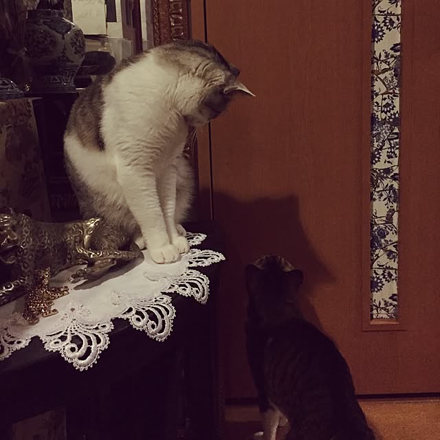 emmyyさんの実例写真