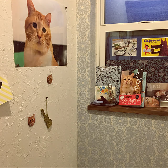 PIYOLANDさんの実例写真