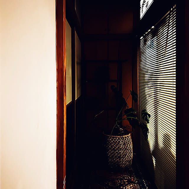 chacoさんの部屋